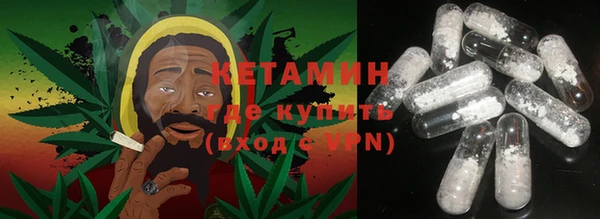 PSILOCYBIN Белокуриха