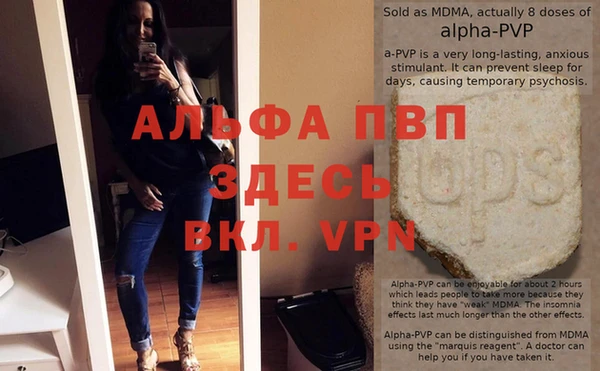 PSILOCYBIN Белокуриха