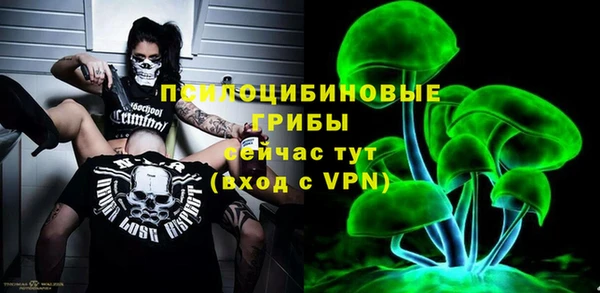 PSILOCYBIN Белокуриха