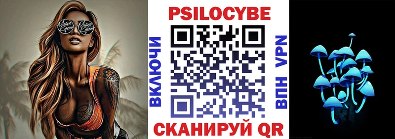 купить наркоту  Ворсма  Галлюциногенные грибы Psilocybine cubensis 